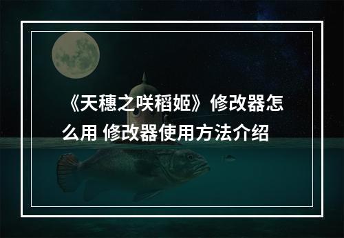 《天穗之咲稻姬》修改器怎么用 修改器使用方法介绍