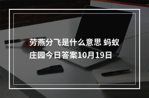 劳燕分飞是什么意思 蚂蚁庄园今日答案10月19日