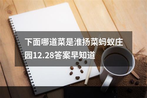 下面哪道菜是淮扬菜蚂蚁庄园12.28答案早知道