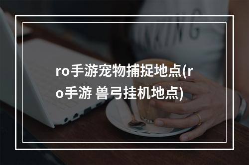 ro手游宠物捕捉地点(ro手游 兽弓挂机地点)