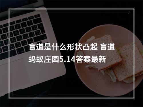 盲道是什么形状凸起 盲道蚂蚁庄园5.14答案最新