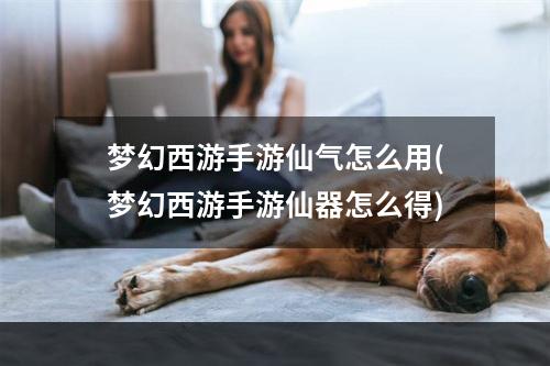 梦幻西游手游仙气怎么用(梦幻西游手游仙器怎么得)