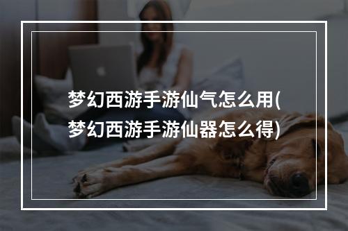 梦幻西游手游仙气怎么用(梦幻西游手游仙器怎么得)