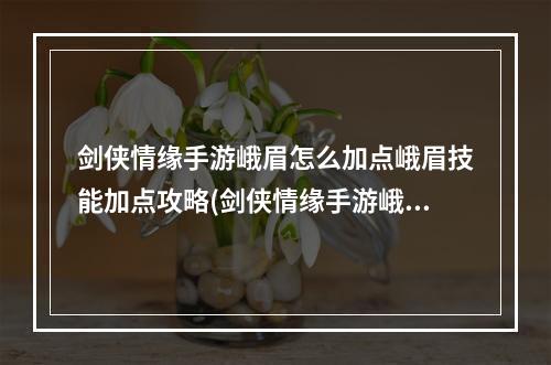 剑侠情缘手游峨眉怎么加点峨眉技能加点攻略(剑侠情缘手游峨眉的服装)