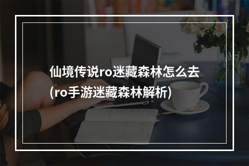 仙境传说ro迷藏森林怎么去(ro手游迷藏森林解析)