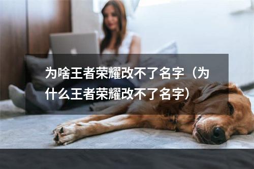 为啥王者荣耀改不了名字（为什么王者荣耀改不了名字）