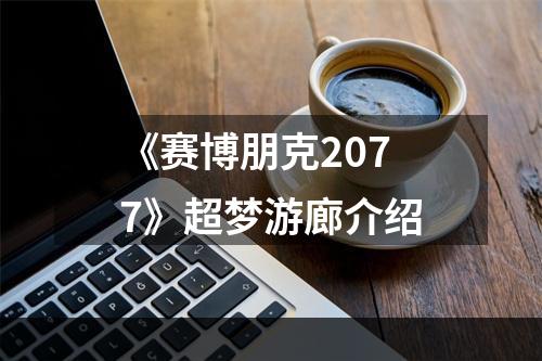 《赛博朋克2077》超梦游廊介绍