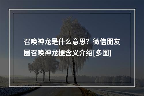 召唤神龙是什么意思？微信朋友圈召唤神龙梗含义介绍[多图]