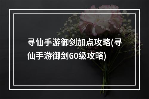 寻仙手游御剑加点攻略(寻仙手游御剑60级攻略)