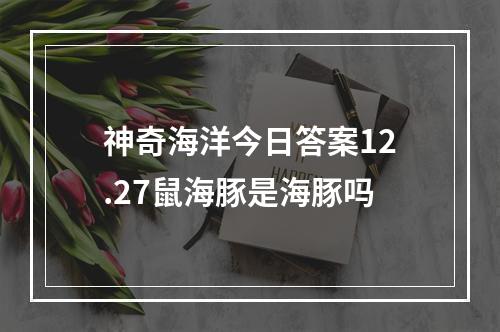 神奇海洋今日答案12.27鼠海豚是海豚吗