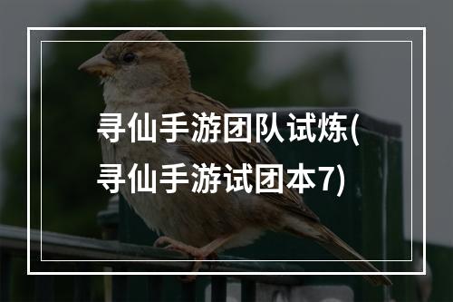 寻仙手游团队试炼(寻仙手游试团本7)