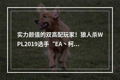 实力颜值的双高配玩家！狼人杀WPL2019选手“EA丶柯辛”专访