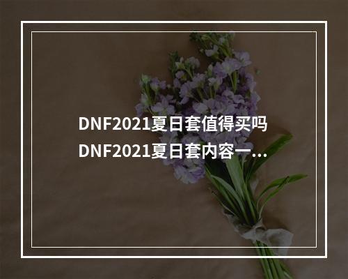 DNF2021夏日套值得买吗 DNF2021夏日套内容一览