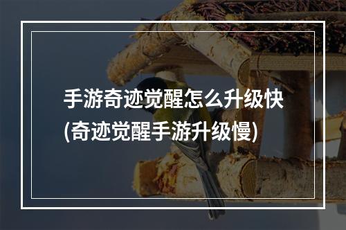 手游奇迹觉醒怎么升级快(奇迹觉醒手游升级慢)