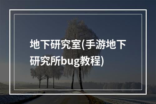 地下研究室(手游地下研究所bug教程)