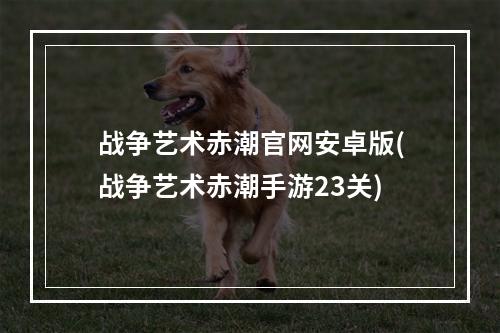 战争艺术赤潮官网安卓版(战争艺术赤潮手游23关)