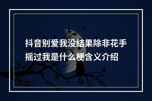 抖音别爱我没结果除非花手摇过我是什么梗含义介绍