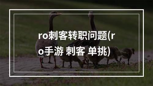 ro刺客转职问题(ro手游 刺客 单挑)