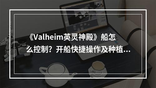 《Valheim英灵神殿》船怎么控制？开船快捷操作及种植技巧