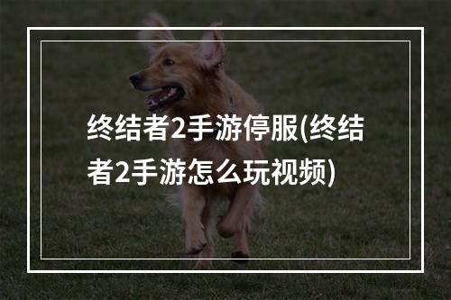 终结者2手游停服(终结者2手游怎么玩视频)