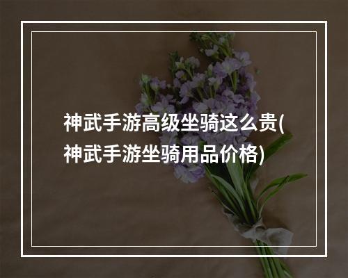 神武手游高级坐骑这么贵(神武手游坐骑用品价格)