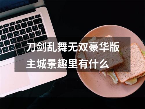 刀剑乱舞无双豪华版主城景趣里有什么