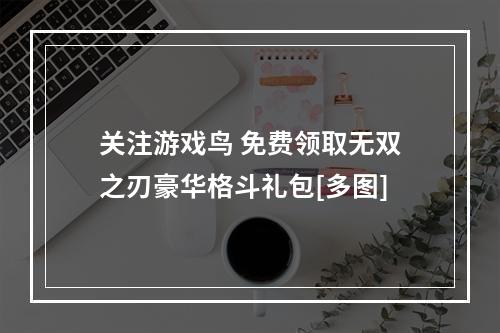 关注游戏鸟 免费领取无双之刃豪华格斗礼包[多图]