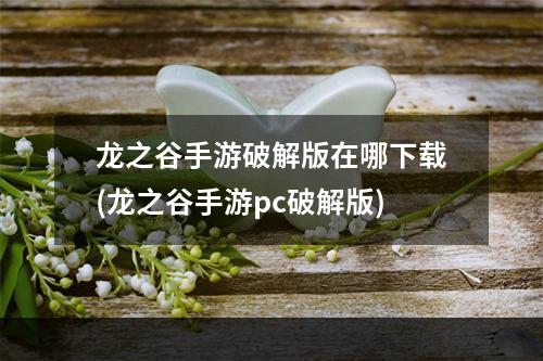 龙之谷手游破解版在哪下载(龙之谷手游pc破解版)