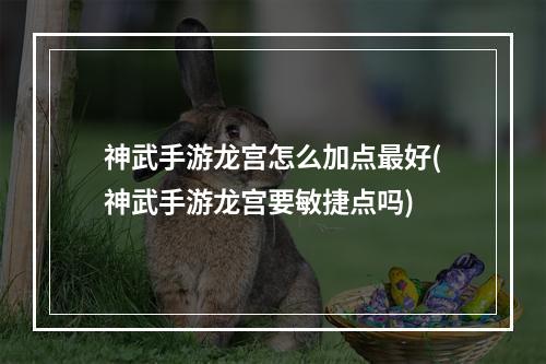 神武手游龙宫怎么加点最好(神武手游龙宫要敏捷点吗)