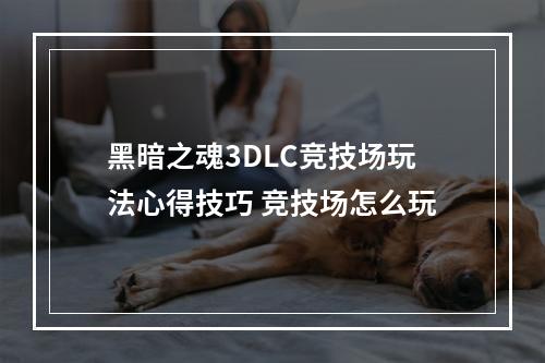 黑暗之魂3DLC竞技场玩法心得技巧 竞技场怎么玩