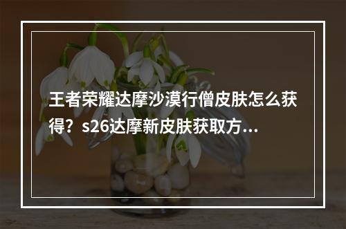 王者荣耀达摩沙漠行僧皮肤怎么获得？s26达摩新皮肤获取方法和背景故事介绍[多图]