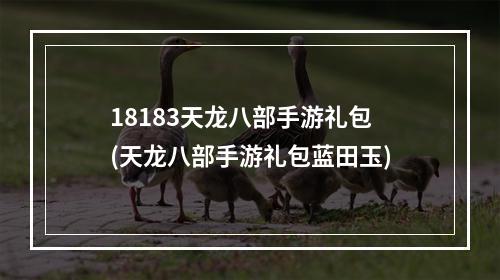 18183天龙八部手游礼包(天龙八部手游礼包蓝田玉)