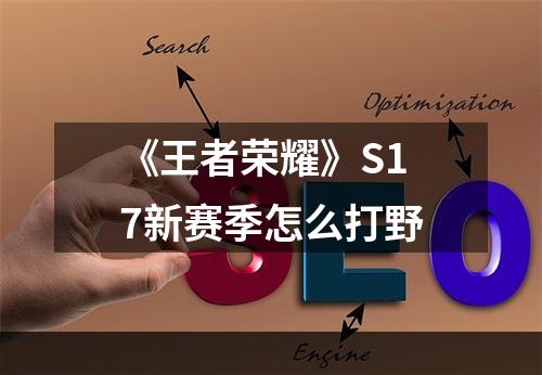 《王者荣耀》S17新赛季怎么打野