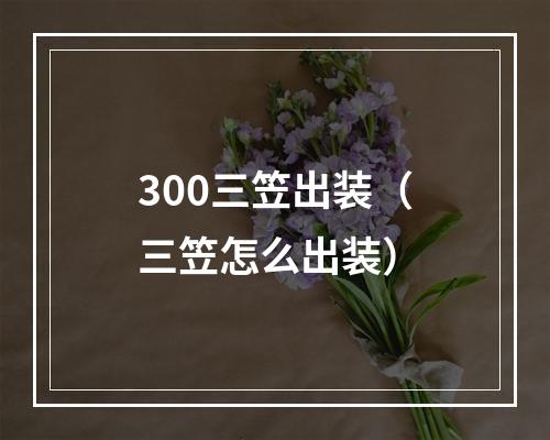 300三笠出装（三笠怎么出装）