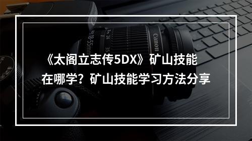 《太阁立志传5DX》矿山技能在哪学？矿山技能学习方法分享