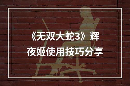 《无双大蛇3》辉夜姬使用技巧分享