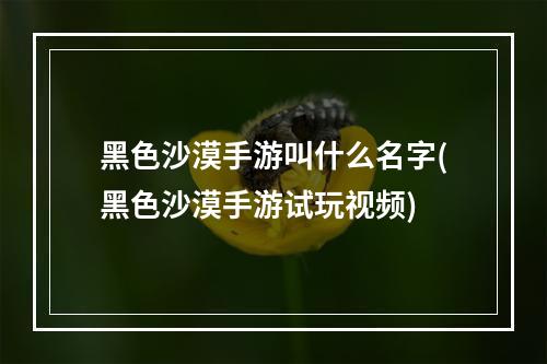 黑色沙漠手游叫什么名字(黑色沙漠手游试玩视频)