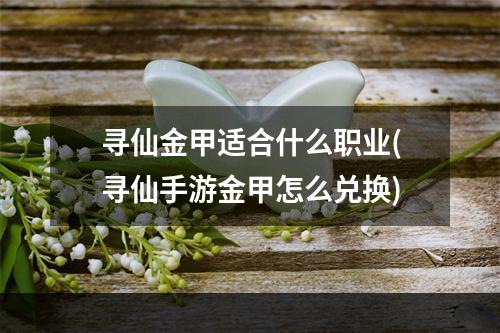 寻仙金甲适合什么职业(寻仙手游金甲怎么兑换)