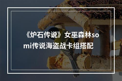 《炉石传说》女巫森林somi传说海盗战卡组搭配