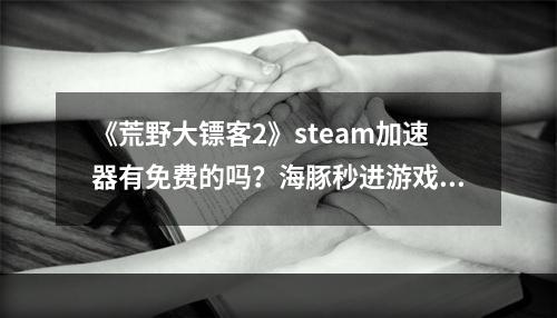 《荒野大镖客2》steam加速器有免费的吗？海豚秒进游戏全程流畅