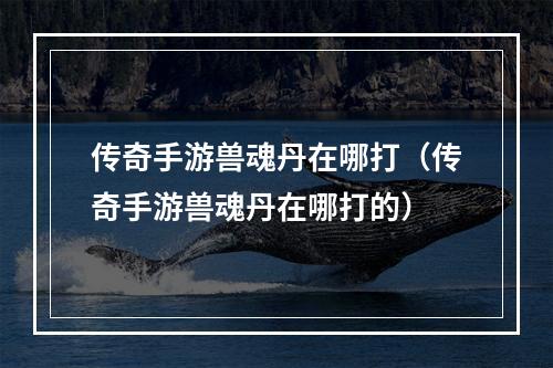 传奇手游兽魂丹在哪打（传奇手游兽魂丹在哪打的）