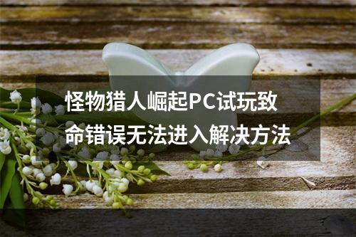 怪物猎人崛起PC试玩致命错误无法进入解决方法