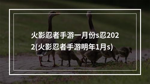 火影忍者手游一月份s忍2022(火影忍者手游明年1月s)