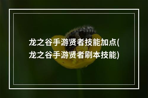 龙之谷手游贤者技能加点(龙之谷手游贤者刷本技能)