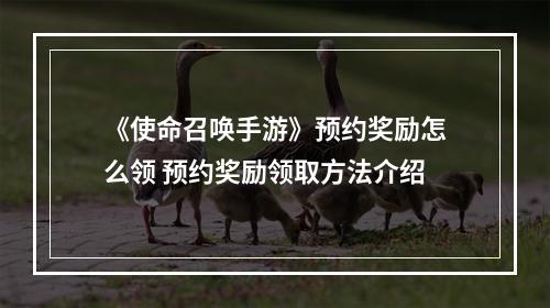 《使命召唤手游》预约奖励怎么领 预约奖励领取方法介绍