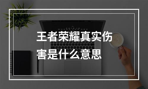 王者荣耀真实伤害是什么意思