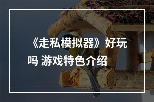 《走私模拟器》好玩吗 游戏特色介绍