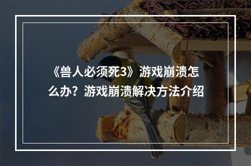 《兽人必须死3》游戏崩溃怎么办？游戏崩溃解决方法介绍