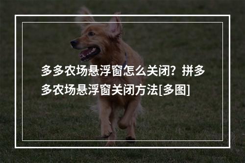 多多农场悬浮窗怎么关闭？拼多多农场悬浮窗关闭方法[多图]