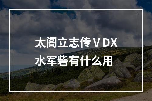 太阁立志传ⅤDX水军砦有什么用